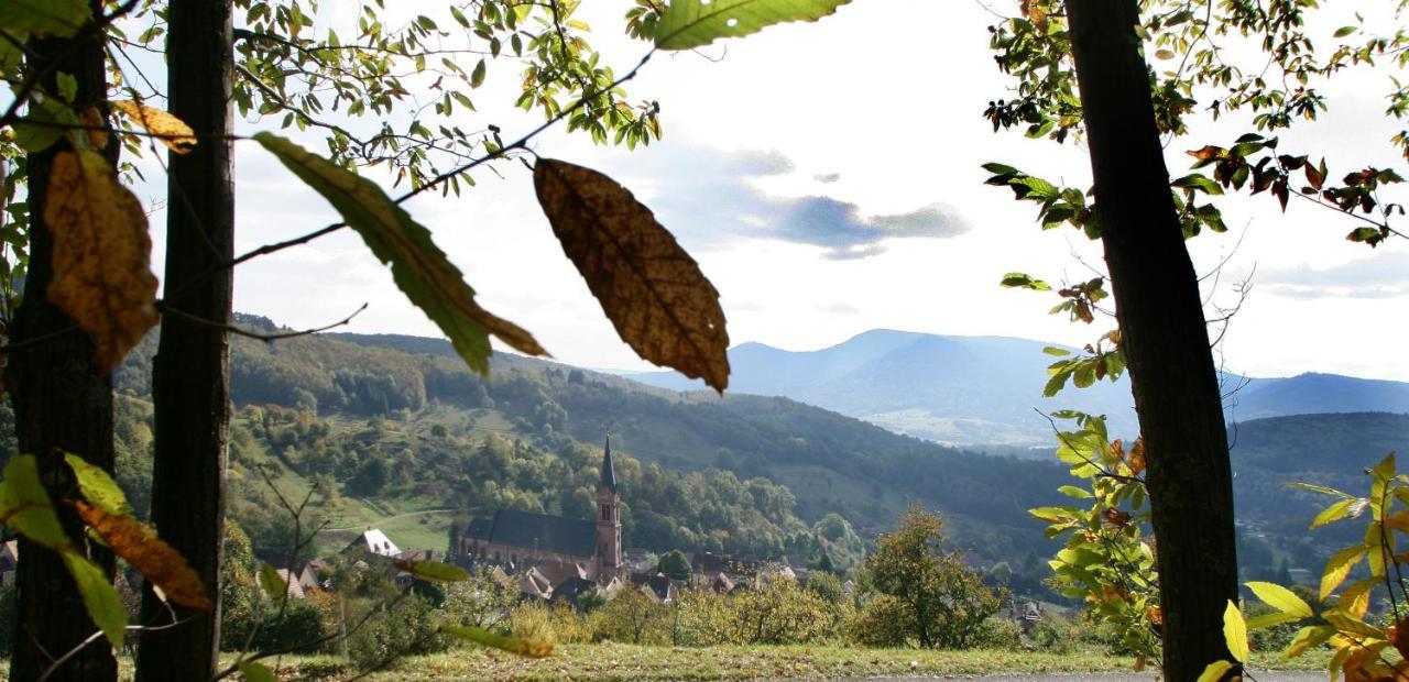 Les Gites La Cerisaie Breitenbach Exterior foto