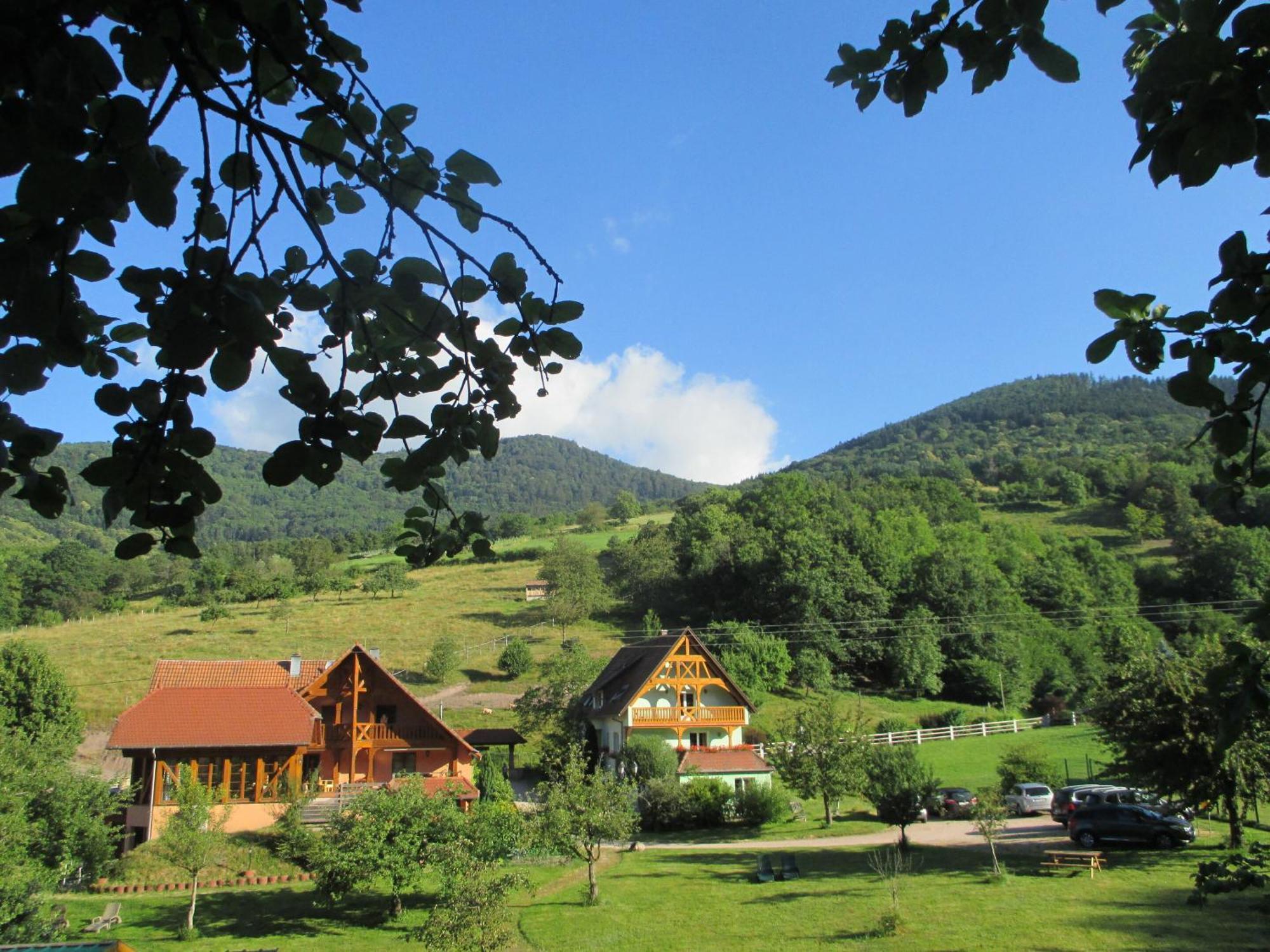 Les Gites La Cerisaie Breitenbach Quarto foto